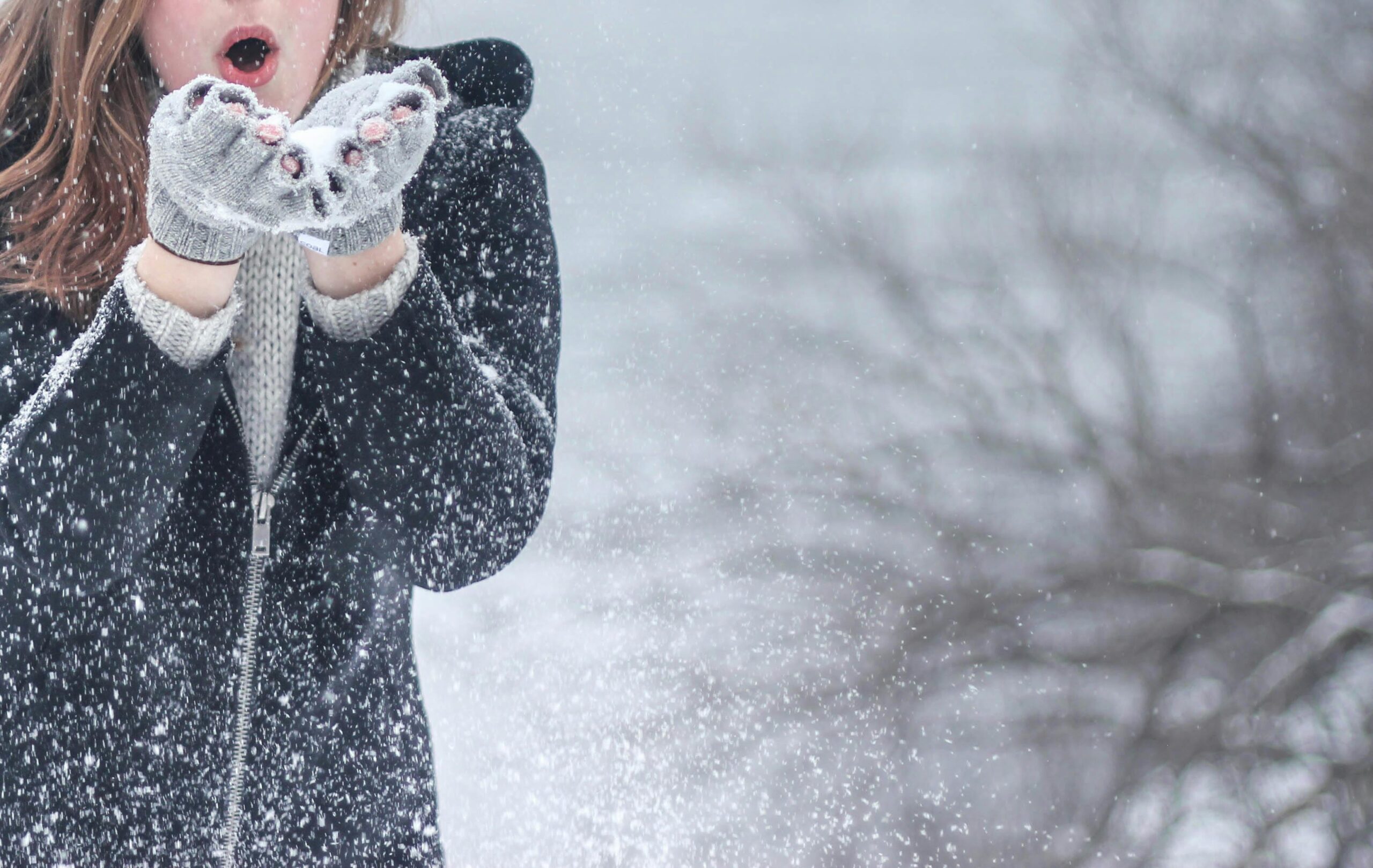 Winter blog